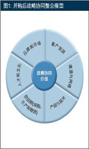 建立戰略協同與管理機制以保證并購成功(第1頁)