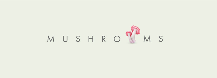 Mushrooms品牌設(shè)計